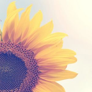 Meet your Posher, Angel